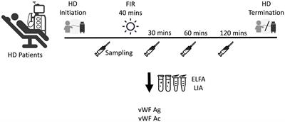 Effect of far-infrared radiation therapy on von Willebrand factor in patients with chronic kidney disease